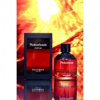 Notorious perfume price best sale